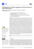 Co-Aggregation and Parallel Aggregation of Specific Proteins in Major Mental Illness