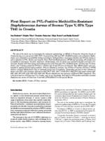 prikaz prve stranice dokumenta First report on PVL-positive methicillin-resistant Staphylococcus aureus of SCCmec type V, spa type t441 in Croatia
